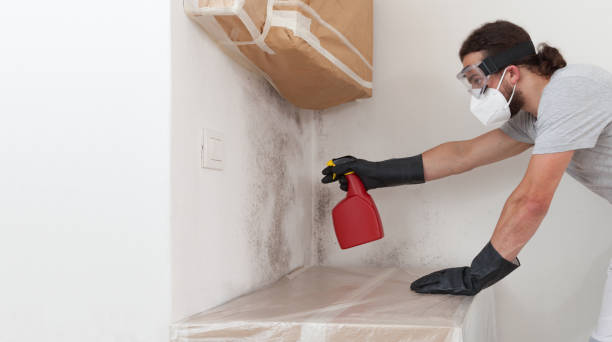 Professional Mold Removal technician working in Bennett, NC